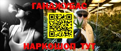 гидра Камышлов