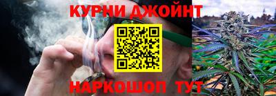 гидра Камышлов