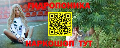 индика Ипатово